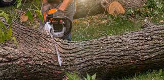 Soil Testing and Treatment in Ebensburg, PA